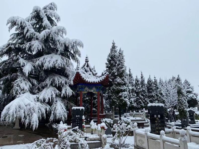 園區(qū)景觀